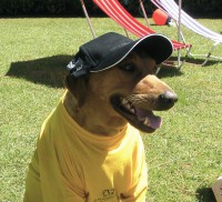 /album/galeria-de-fotos/beira-mar-jpg/